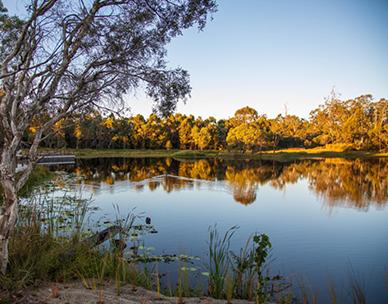 An image of a lake