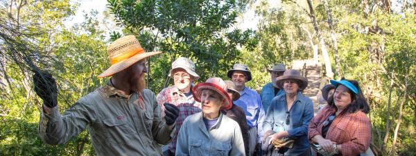 Habitat Brisbane - community bushcare