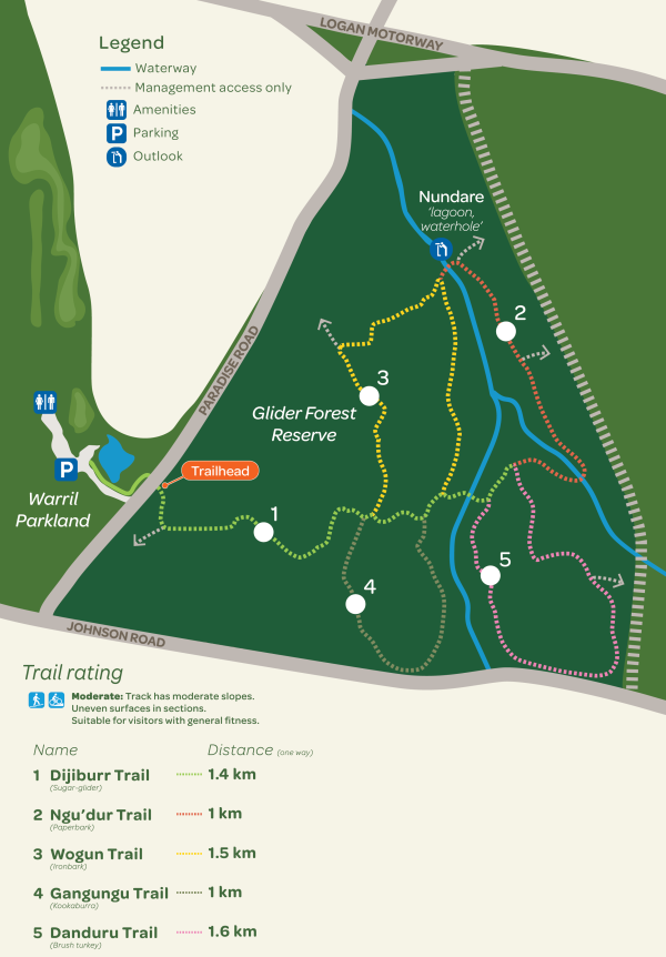 This map shows the location of trails and features within Glider Forest Reserve. Starting at the trailhead near Warril Parkland, visitors can access five different trails marked by different coloured lines. The Dijiburr Trail (1.4 km one way) is green, The Ngu’dur Trail (1 km one way) is yellow, the Wogun Trail (1.5 km one way) is red, The Gangungu Trail (1 km one way) is blue and the Danduru Trail (1.6 km one way) is pink. The Nundare Lagoon and waterhole is located towards the north of the reserve.