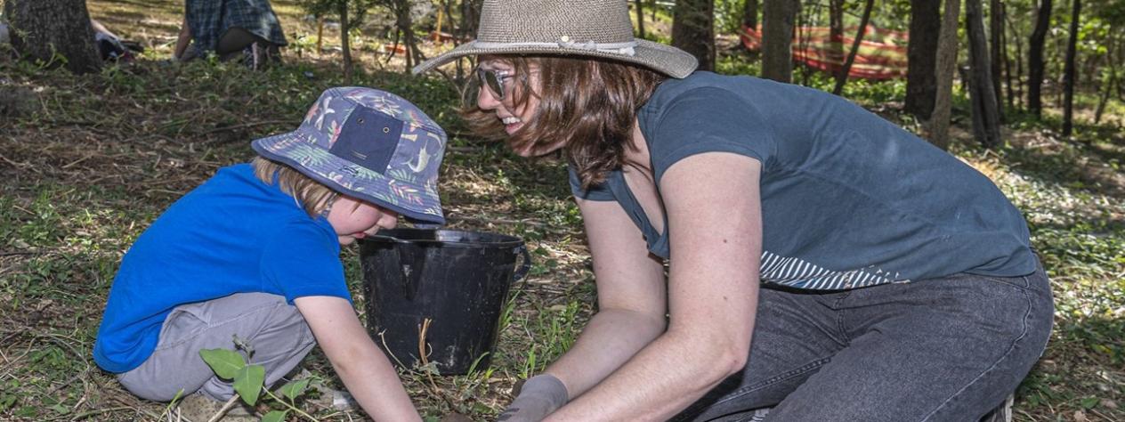 Volunteer Bushcare Working Bee - Jindalee Bushcare Group