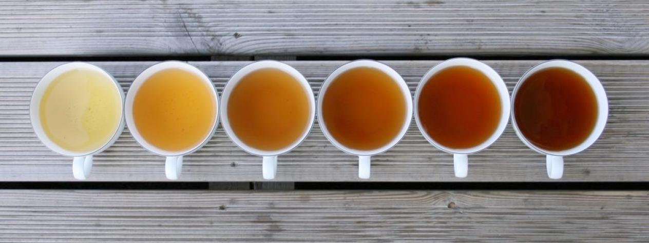 The Art of Tea