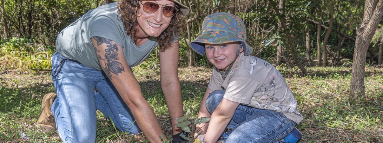 Volunteer Bushcare Working Bee - Mackenzie Bushcare Group