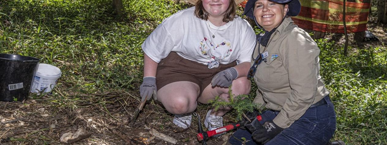 Volunteer Bushcare Working Bee - West Lake Riverhills Bushcare Group