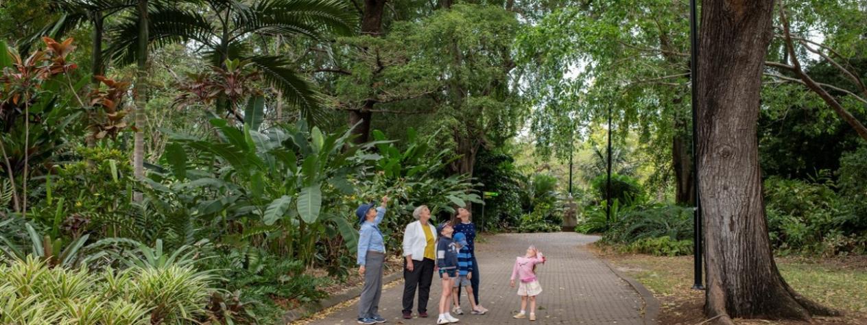 Sunday Guided Walks - City Botanic Gardens