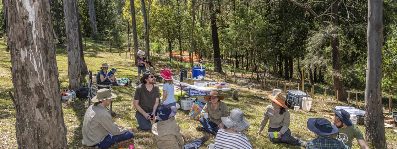 Volunteer Bushcare Working Bee - Moorhen Flats - Norman Creek FREECS