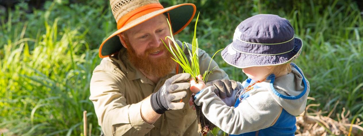 Volunteer Bushcare Working Bee - Yoorala Street East Bushcare Group