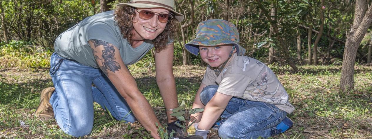 Volunteer Bushcare Working Bee - Brushbox Habitat Group