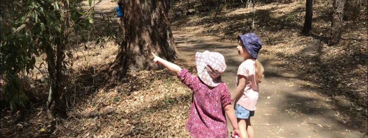 CANCELLED - Bush kindy guided walk