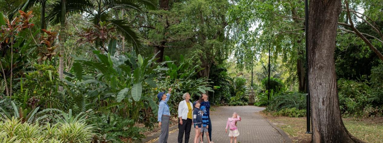 Sunday guided walks - City Botanic Gardens