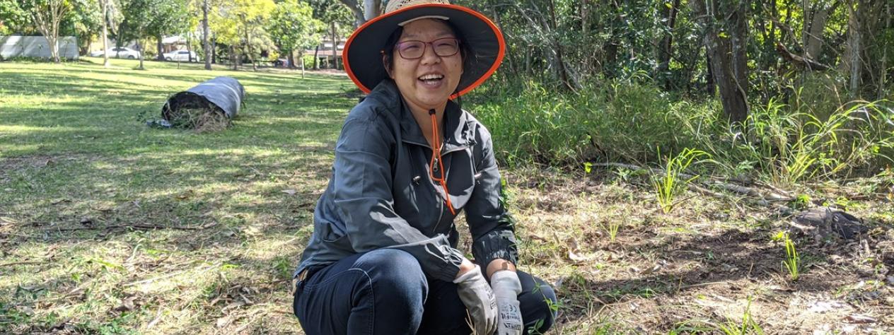 Volunteer Bushcare Working Bee - Wittonga Park Bushcare Group