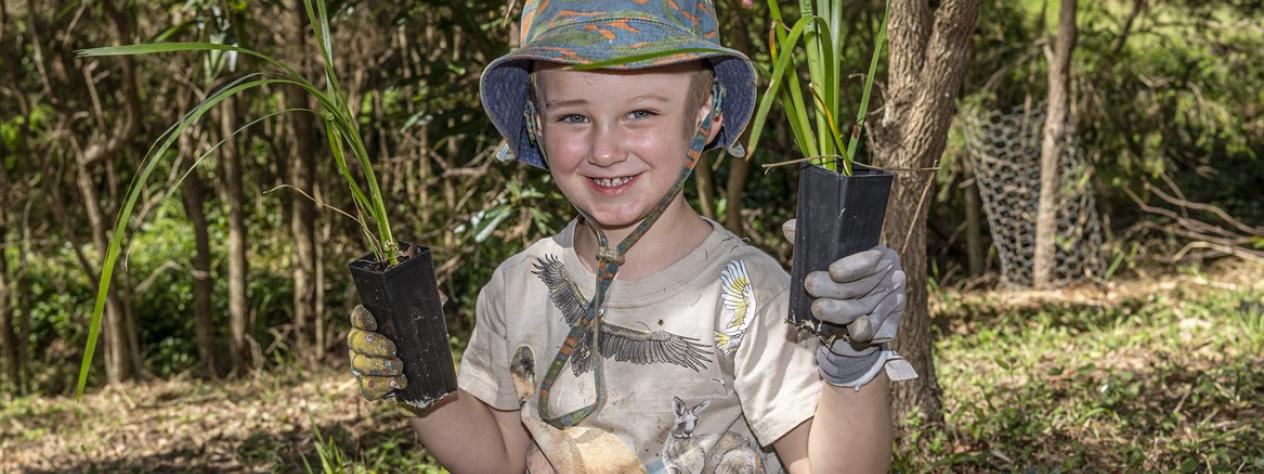 Volunteer Bushcare Working Bee - Burnett Swamp Bushcare Group