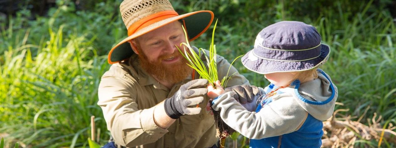 Volunteer Bushcare Working Bee - Bald Hills Bushies