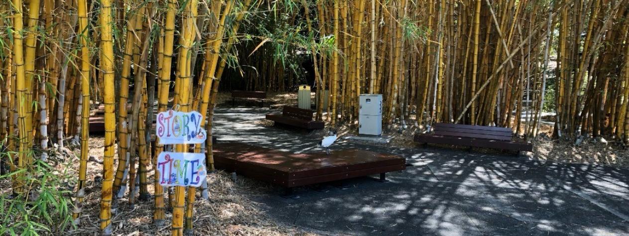 First 5 Forever nature play in the Bamboo Grove