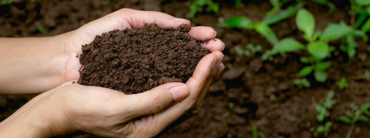 Building healthy soils