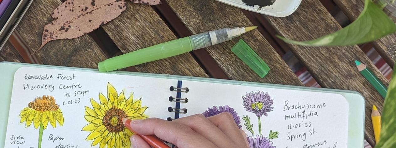 Nature journaling for adults