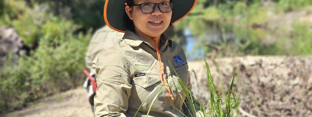 Volunteer Bushcare Working Bee - Majestic Isis Habitat Group