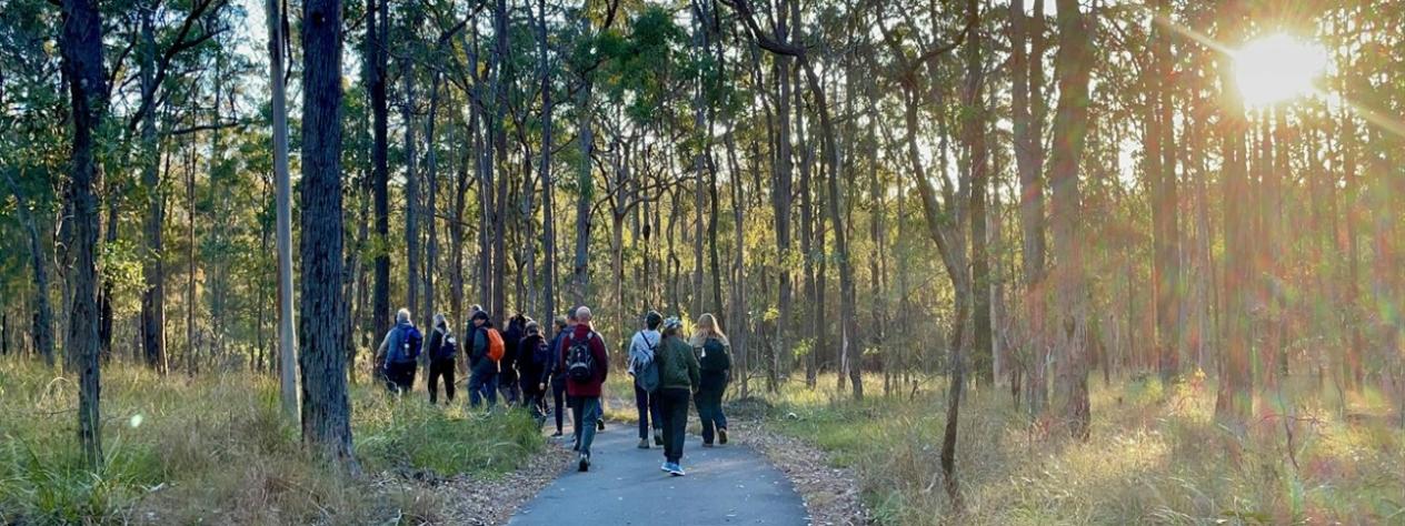 12 Days of Christmas – Twilight Walk (Chermside Hills Giwadha Track)