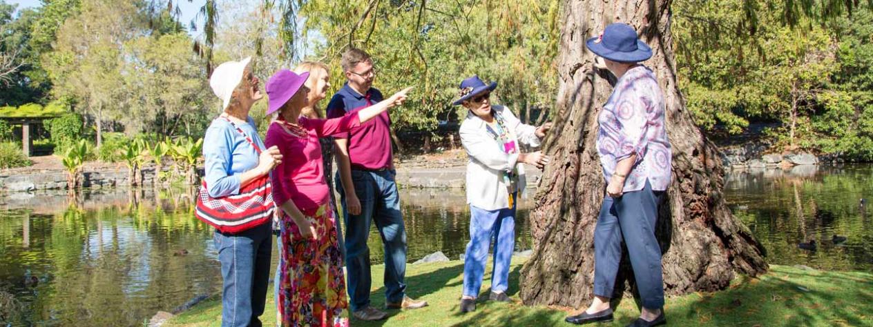 Free guided tour - Brisbane Botanic Gardens Mt Coot-tha