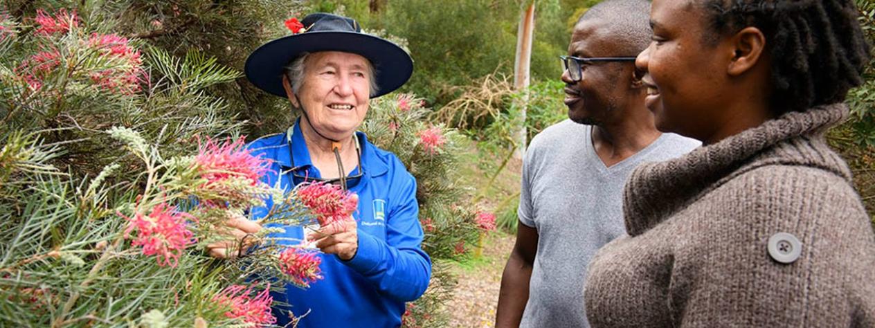 CANCELLED - Free guided tour - City Botanic Gardens