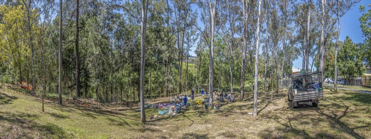 Volunteer Bushcare Working Bee - Taringa Parade Bushcare Group