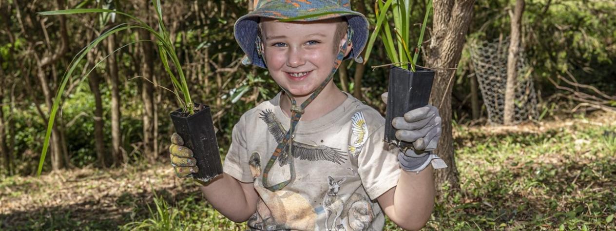 Volunteer Bushcare Working Bee - Rainbow Forest Experimental Rehabilitation Group