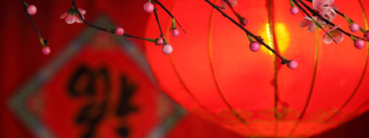 Lunar New Year calligraphy scrolls