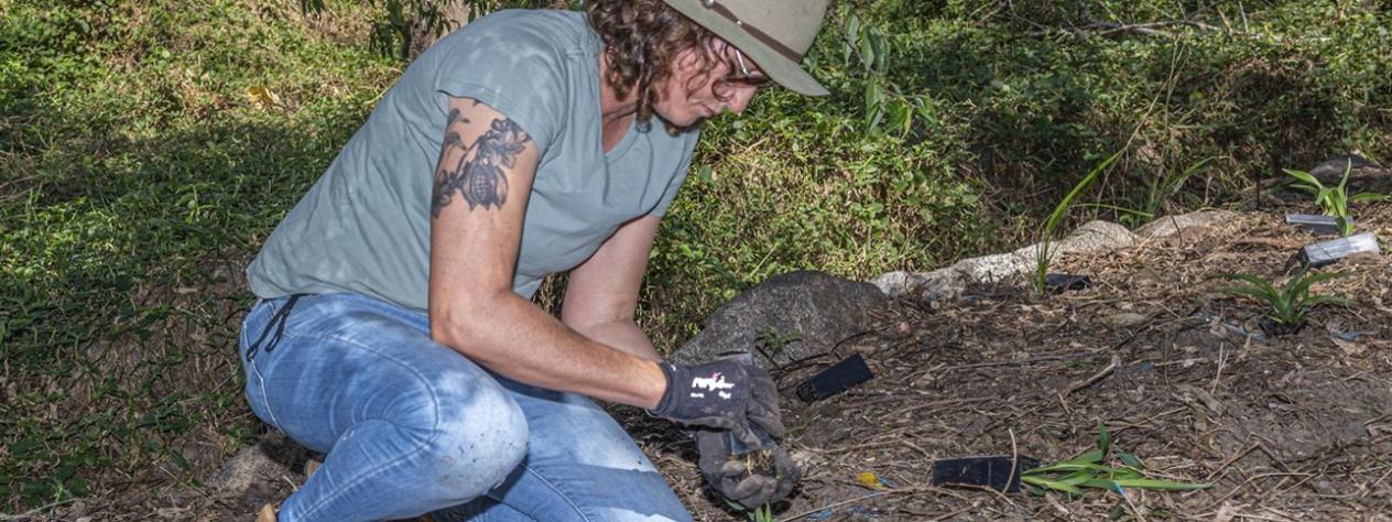 Volunteer Bushcare Working Bee - Rikki Bailey Bushcare Group