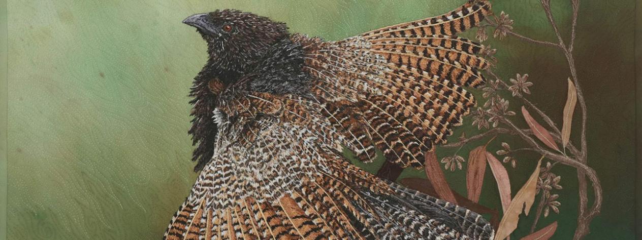 Queensland Wildlife Artists Society exhibition