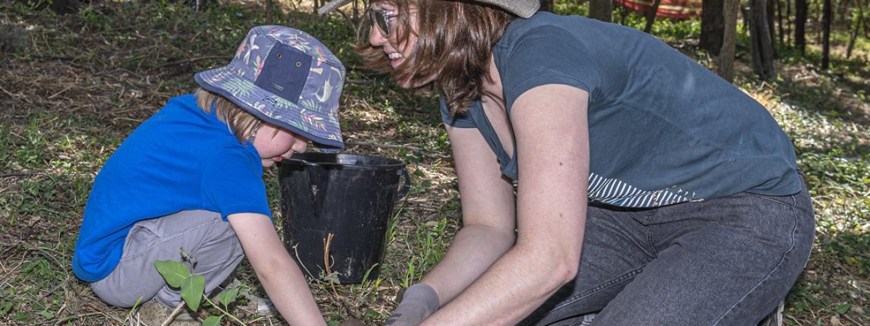 Volunteer Bushcare Working Bee - Moorhen Flats - Norman Creek FREECS