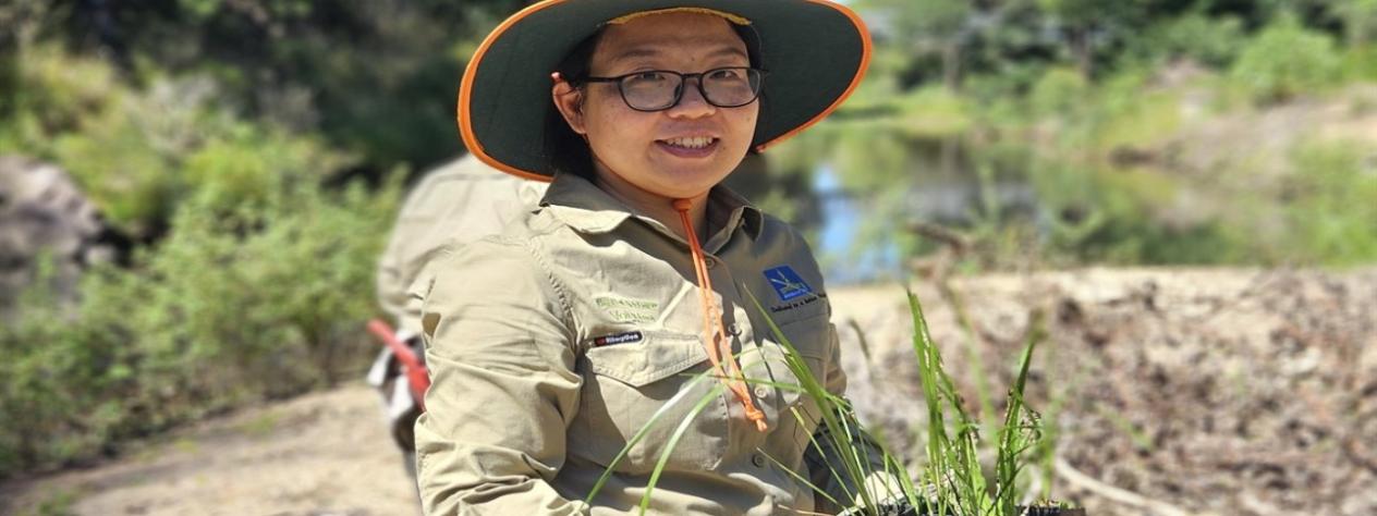 Volunteer Bushcare Working Bee - Nosworthy Park Bushcare Group