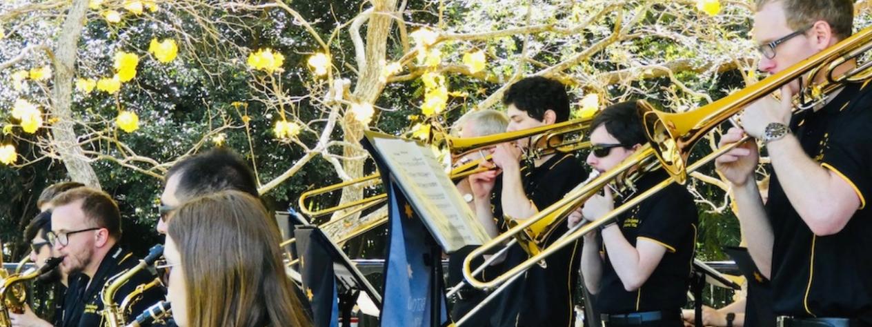 Bands in Parks: A Swinging Victory