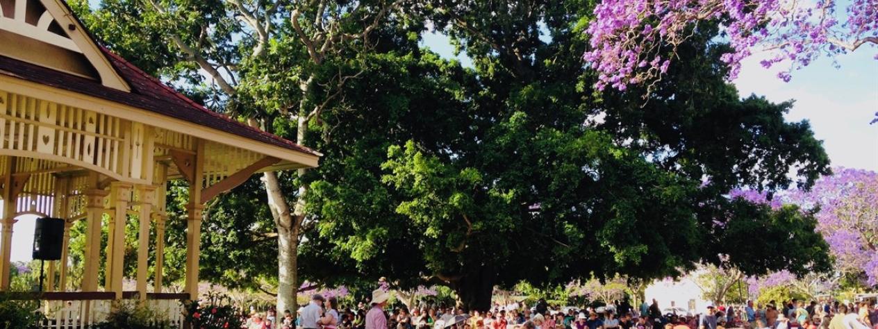 Bands in Parks: Jacarandas and Jazz