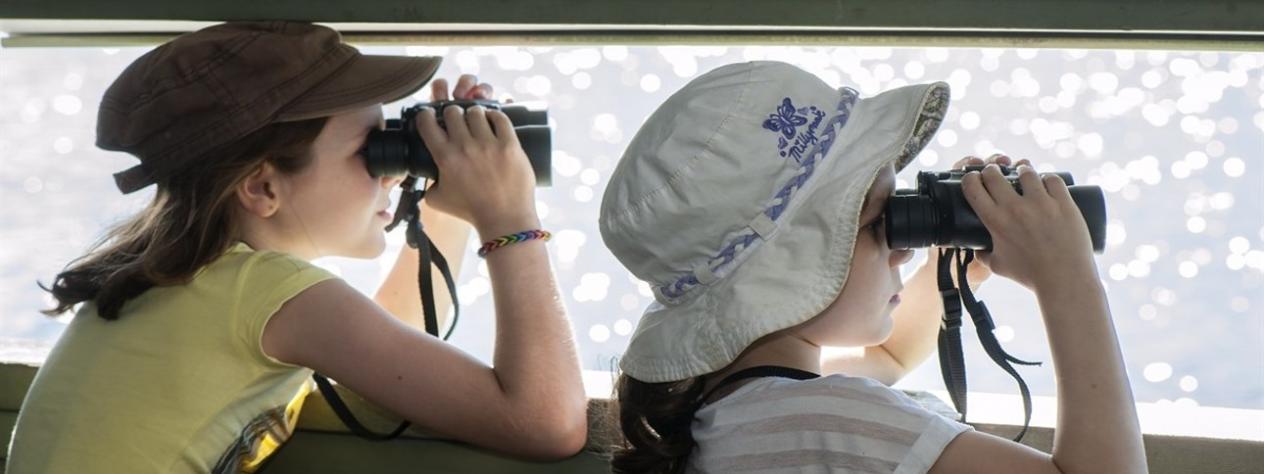 Junior Explorers: All about shorebirds (7-12 years)