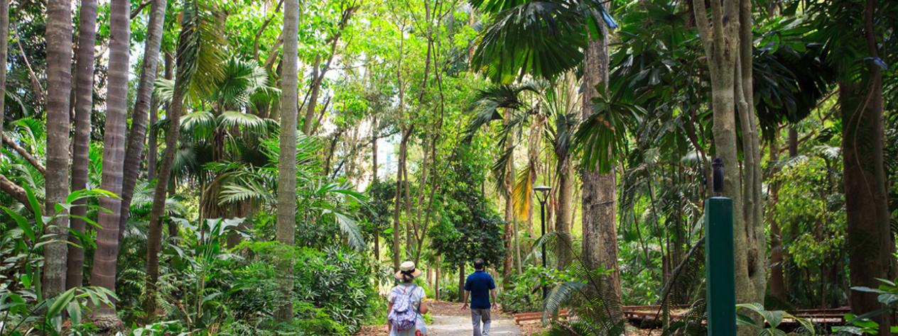 CANCELLED - Free guided tour - City Botanic Gardens