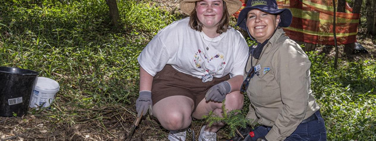 Volunteer Bushcare Working Bee - Kalinga Park Bushcare Group