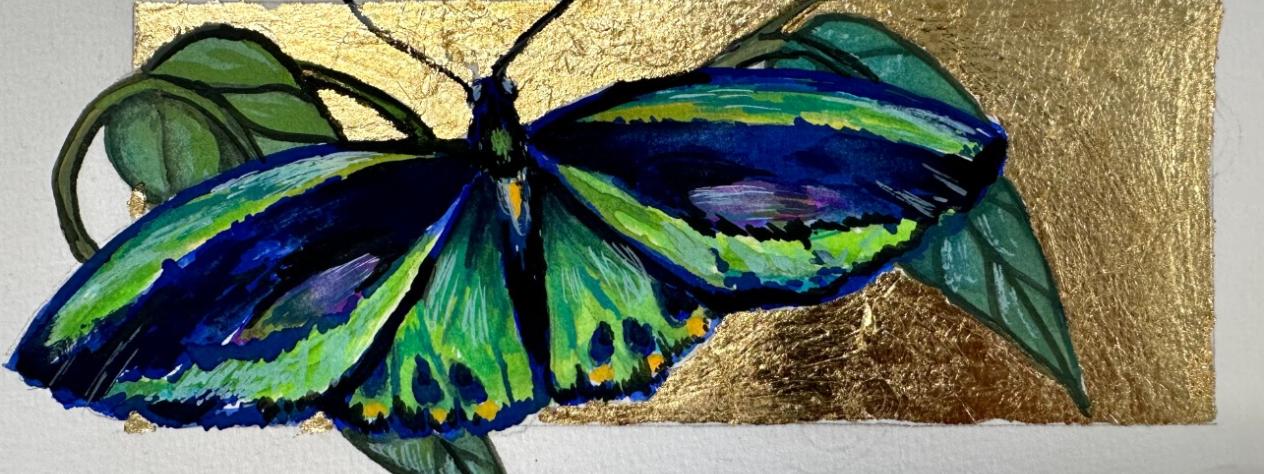 Botanic art: Illuminated Butterflies and their host plants