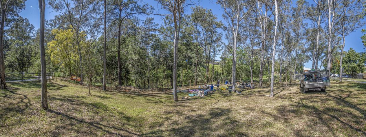 Volunteer Bushcare Working Bee - Benarrawa Bushcare Group