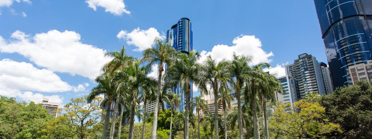 Celebrating 170 years of the City Botanic Gardens - Guided walk