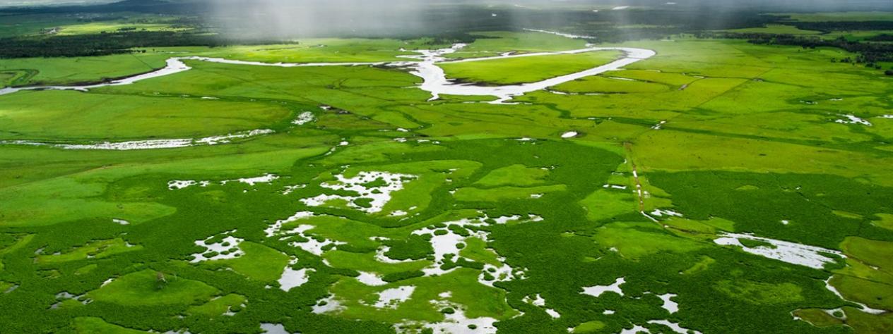 Wetlands of Queensland exhibition