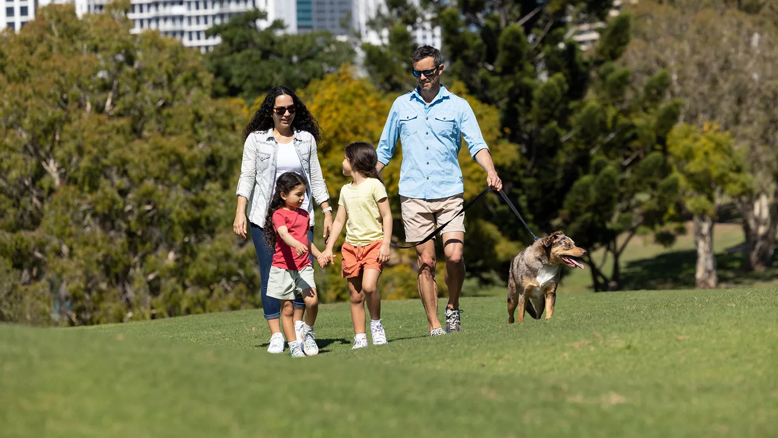 Bush walks with hot sale dogs near me