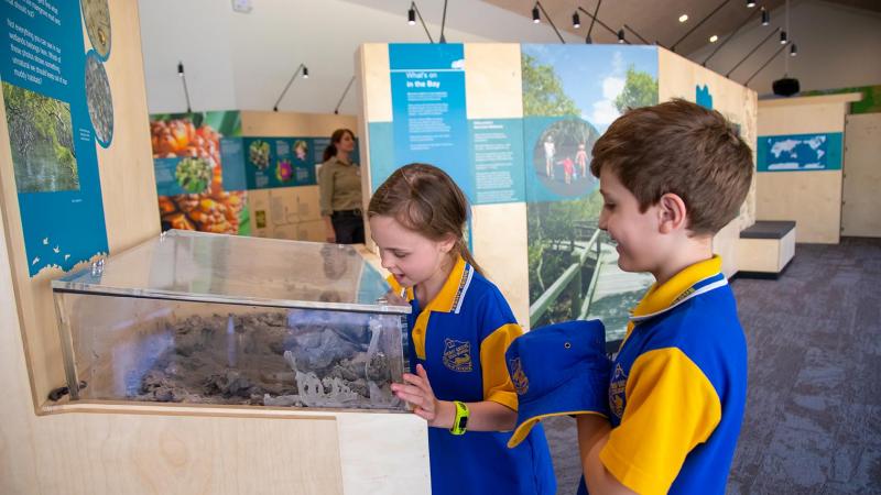 Boondall Wetlands Environment Centre | Brisbane City Council